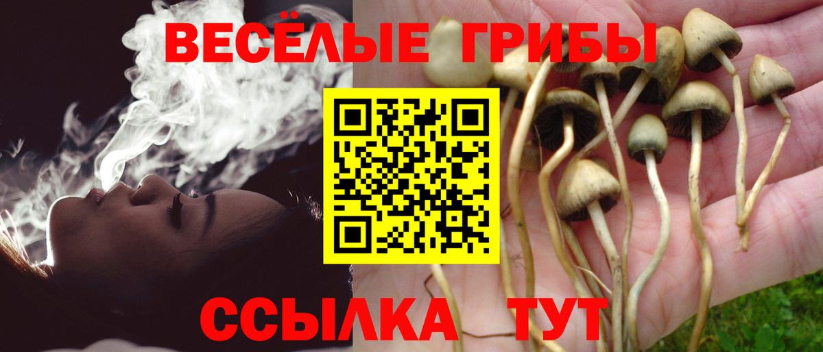 Псилоцибиновые грибы ЛСД Воткинск